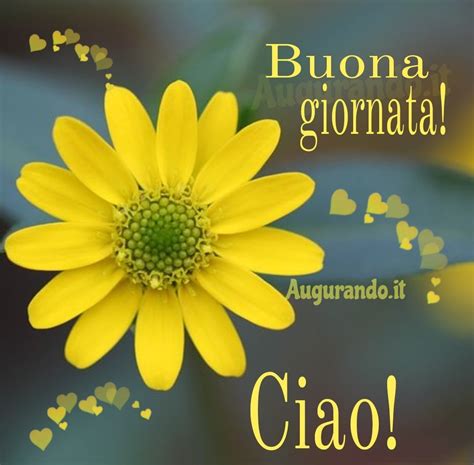 buona giornata immagini